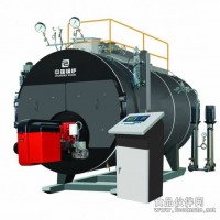 0.5噸（0.5T）立式燃?xì)庹羝仩t