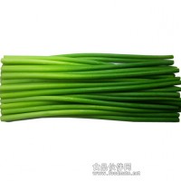 冷凍蒜苗