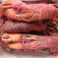 加拿大龍蝦