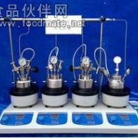 微型平行高壓反應釜