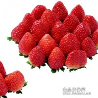 草莓加工機械設備生產線