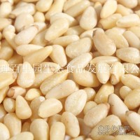 大量供應松籽仁