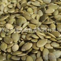 大量供應食品廠用南瓜籽仁
