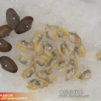 供應(yīng)凍花甲螺肉，花蛤肉，蛤蜊肉