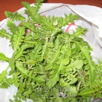 大量供應優質薺菜種子