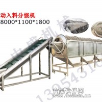 紅棗自動入料分級機