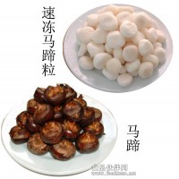供應優質速凍馬蹄