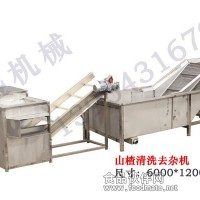 山楂清洗去雜機(jī)