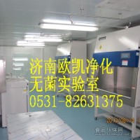 食品檢驗無菌實驗室|微生物實驗室|濟南歐凱凈化