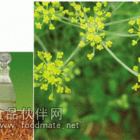 八角茴香油【康華】您的選擇