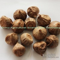 供應獨頭黑蒜