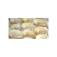進口冷凍老雞翅 3008貨品
