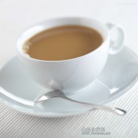 無(wú)植脂末原葉健康奶茶技術(shù)