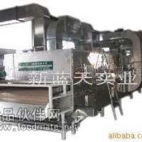 供應脫水洋蔥機械加工生產線 生產線 脫水洋蔥