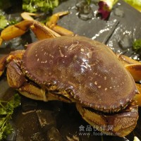 進口珍寶蟹（鮮活）