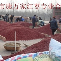 紅棗批發小棗金絲小棗