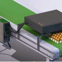 鴨蛋 雞蛋噴碼機(jī)