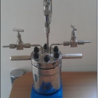 25ml微型高壓反應(yīng)釜，實驗室小型高壓反應(yīng)釜