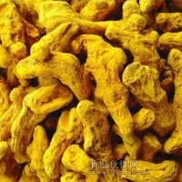 RHIZOMA CURCUMAE LONGAE，姜黃提取物