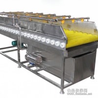 XUFA-蔬菜清洗機(jī)
