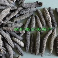 海參 墨西哥尖刺參
