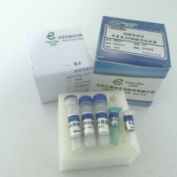 動物源性成分鑒定PCR試劑盒億森寶生物