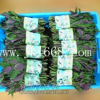 2013新紫背菜上市中