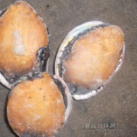 批發冷凍馬面魚.冷凍海鰻魚