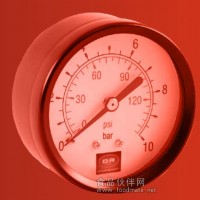 進口壓力表