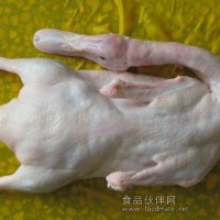常年供應冷凍鴨邊腿