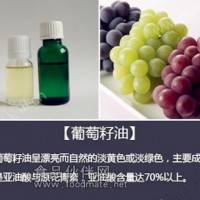 葡萄籽油冷壓萃取廠家品質(zhì)保證