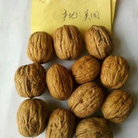 美國鉆石核桃 冬瓜核桃