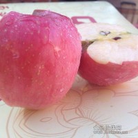 羽軒蘋果  綠谷盛邦 棲霞蘋果 祥羽果業(yè)