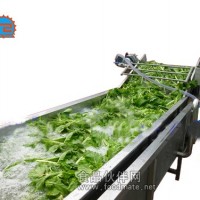 葉菜清洗機/白菜清洗機/橄欖菜清洗機