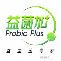 益菌加 經典乳桿菌 酸奶發酵劑 菌粉 酸奶益生菌