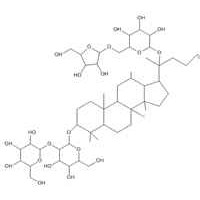 人參皂苷Rc，人參皂苷Rc98%，價格