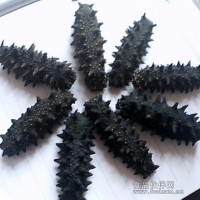 關(guān)東紅參為日本參，小鴻水產(chǎn)大量供應(yīng)