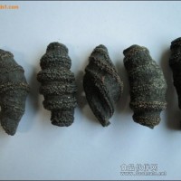 參皮又烏元參，價(jià)格實(shí)惠，營(yíng)養(yǎng)價(jià)值高，小鴻水產(chǎn)常年供應(yīng)各種進(jìn)口海參