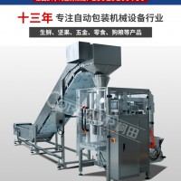 鏈斗式米粉面條包裝機(jī) 大袋米粉自動(dòng)輸送包裝機(jī)