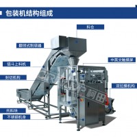 500g豆芽鏈斗式自動(dòng)包裝機(jī) 自動(dòng)輸送豆芽立式包裝機(jī)