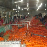 壽光胡蘿卜出口加工廠  韓國日本印尼迪拜