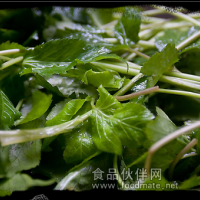 原生態(tài)食品：野芹菜