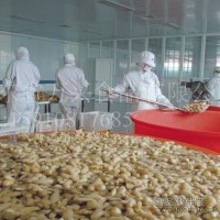 長年供應(yīng)腌漬姜 泡姜 腌漬生姜 無農(nóng)藥殘留鹽漬姜 腌制姜
