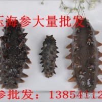 海參批發
