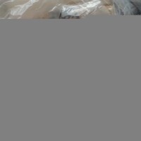 澳洲 688 大羊六分體