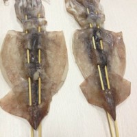 轟炸大魷魚批發供應 滿點轟炸大魷魚