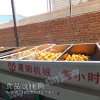 帶葉柑橘清洗分級機