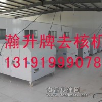 水果去核機