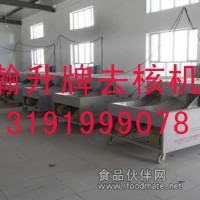 櫻桃去核機