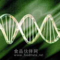 lncRNA研究整體課題